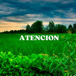 Atencion
