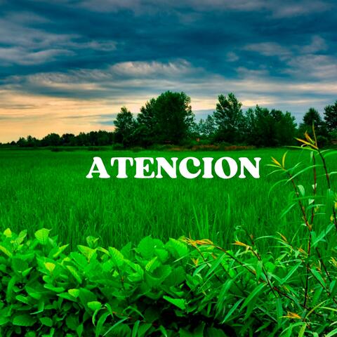 Atencion