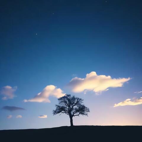 Dont Give Up On Me