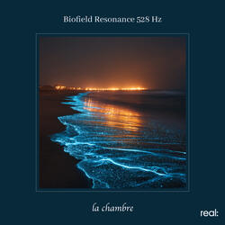 Biofield Resonance 528 Hz