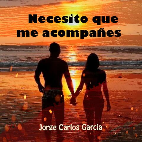 Necesito que Me Acompañes