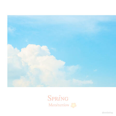 Spring Meidtation