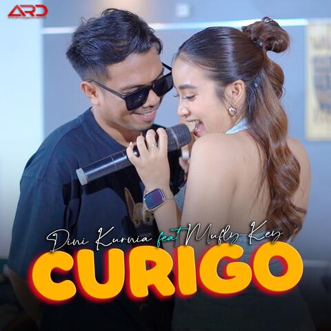 Curigo