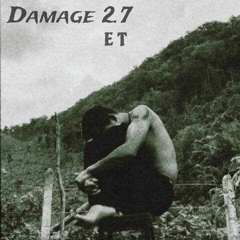 Damage 2.7