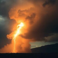 Who'll Stop The Rain