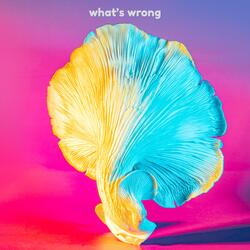 What's Wrong