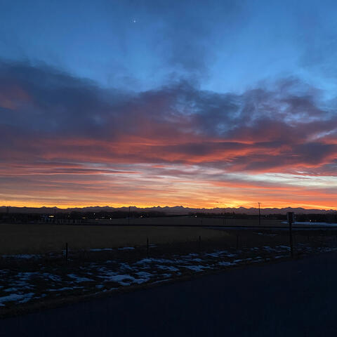 after dusk does its routine