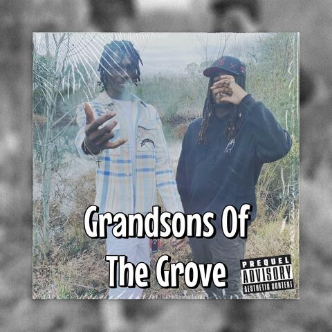 Grandsons Of The Grove