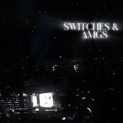 SWITCHES & AMGS