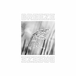 BREEZE