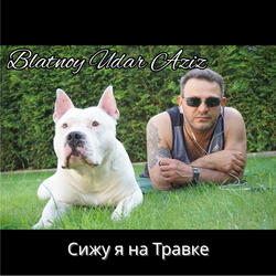 Сижу я на Травке