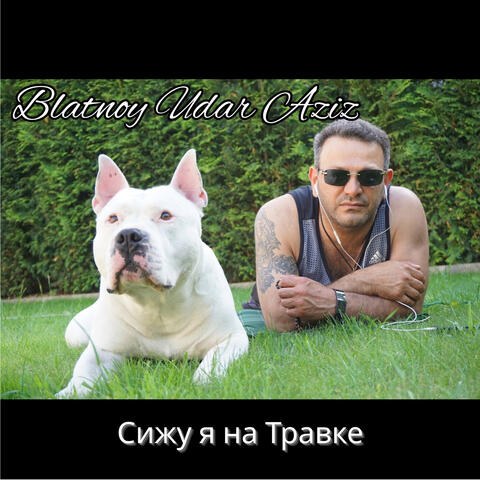 Сижу я на Травке