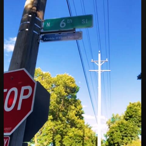 736 Diss