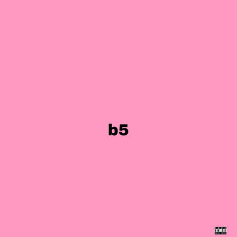 b5