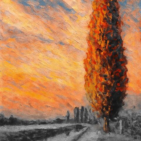 Poplar tree