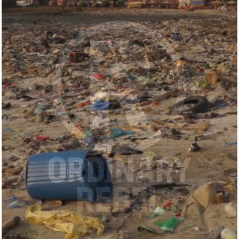 Feel free and let them do whatever