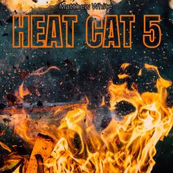 Heat Cat 5