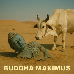 Journeys on the Silk Road