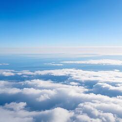 Alpha é lar é conexão (calma)