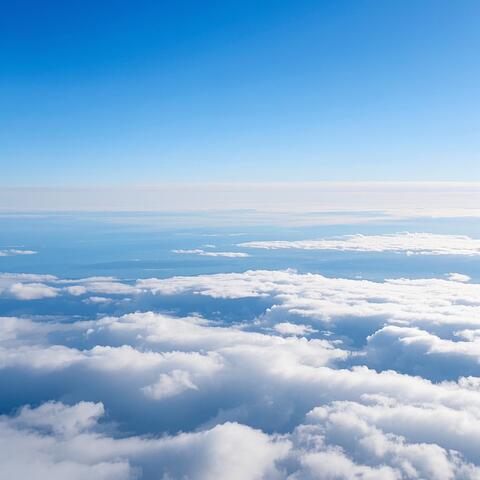 Alpha é lar é conexão (calma)