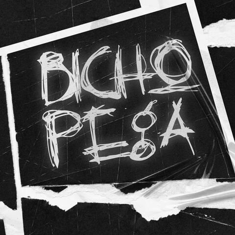 BICHO PEGA