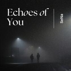 Echoes of you