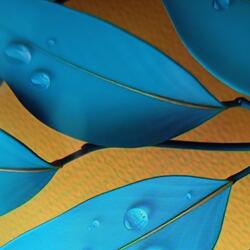 Jadilah ratu dalam hidupku