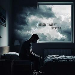 Wish I Had It Better