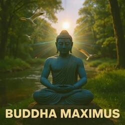 Mantra for Positive Energy