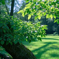 Beautiful plant life