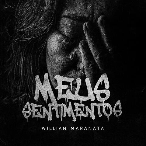 Meus Sentimentos