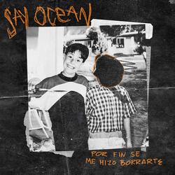 Por fin se me hizo borrarte