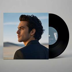 Shadows Behind the Fence