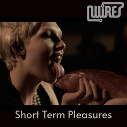 Short Term Pleasures