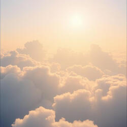 Your_Beautiful_Smile