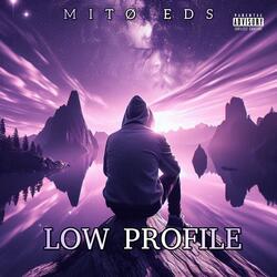 LOW PROFILE