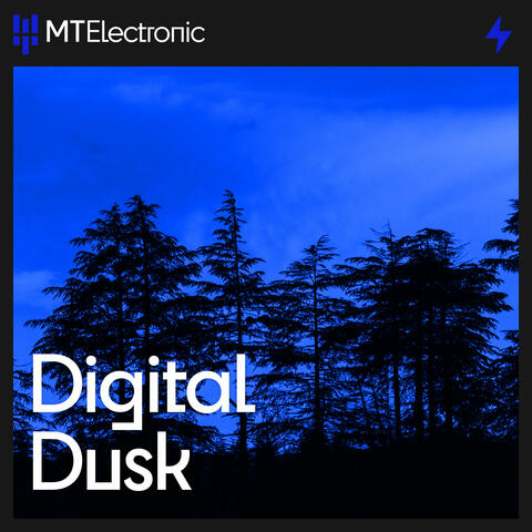 Digital Dusk