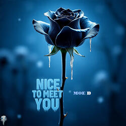 NICE TO MEET YOU