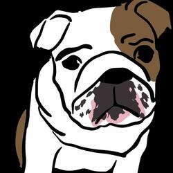 What You Really Doing ?