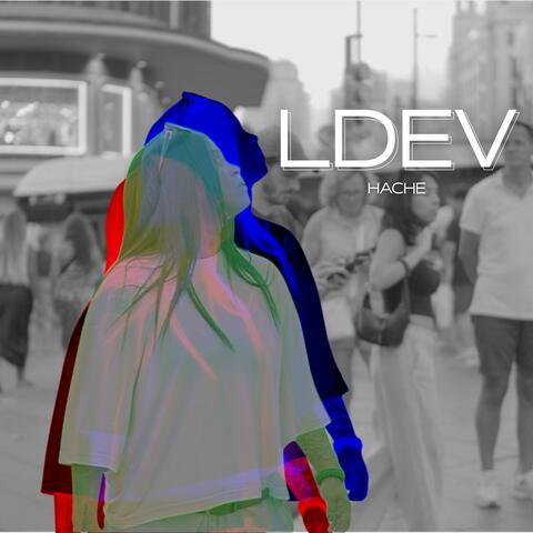 La Dama y El Vagabundo (LDEV)