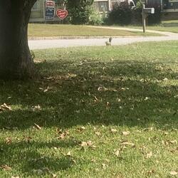 Wake up get money up