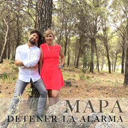 Detener la alarma
