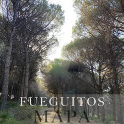 Fueguitos