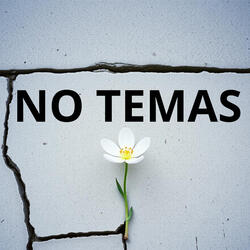 NO TEMAS