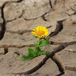 Fresh start