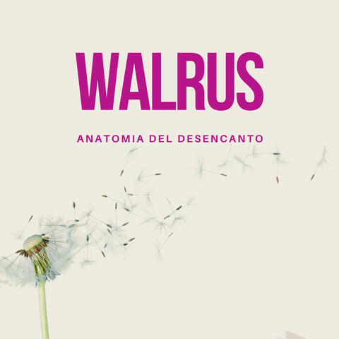 Anatomia del desencanto