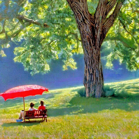 Ninety Degrees In The Shade