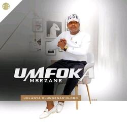 Ngajolisa ishende