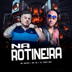 Na Rotineira