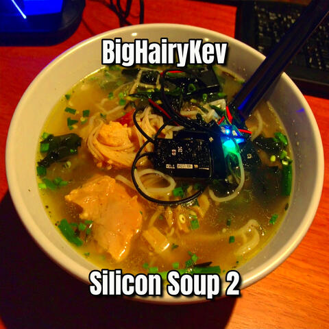 Silicon Soup 2
